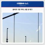 봄 햇살의 작별과 5월을 맞이하는 꽃들과 비