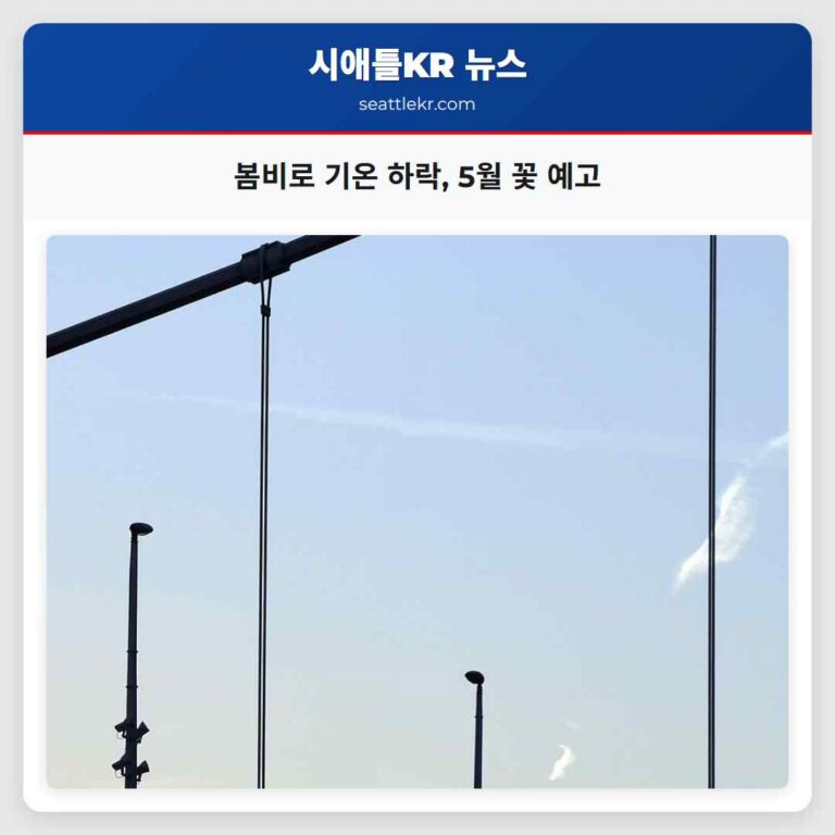 봄 햇살의 작별과 5월을 맞이하는 꽃들과 비