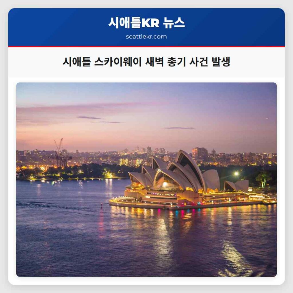 시애틀 스카이웨이 새벽 총기 사건 발생