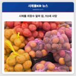 시애틀 최장수 알마 캄 112세 사망