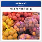 구메즈 섬 해변에서 개 사체 20~25구 발견… 정밀 부검 진행 중