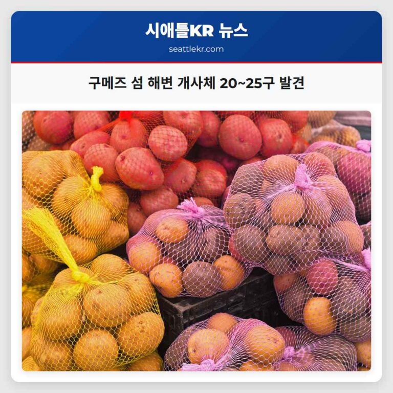 구메즈 섬 해변에서 개 사체 20~25구 발견… 정밀 부검 진행 중