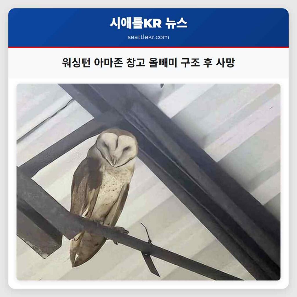 워싱턴 아마존 창고 올빼미 구조 후 사망