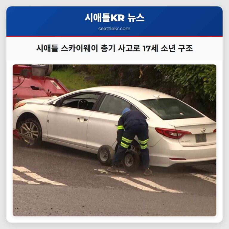 시애틀 스카이웨이 총기 사고로 17세 소년 구조