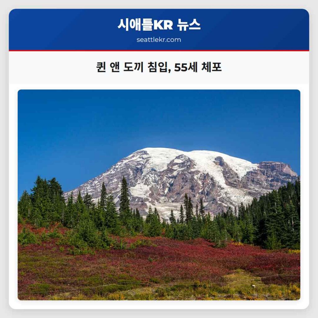 퀸 앤 도끼 침입, 55세 체포