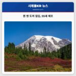 퀸 앤 도끼 침입 55세 체포