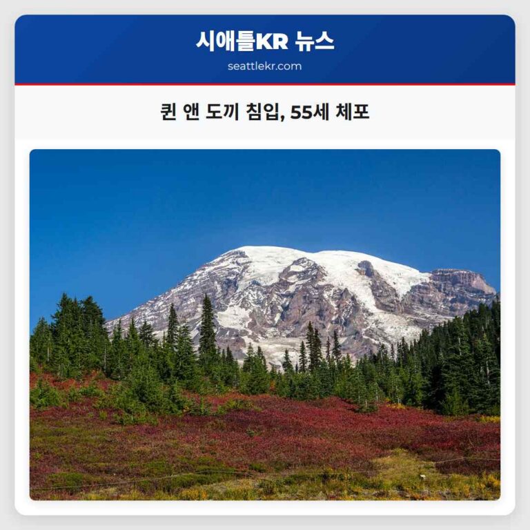 퀸 앤 도끼 침입 55세 체포