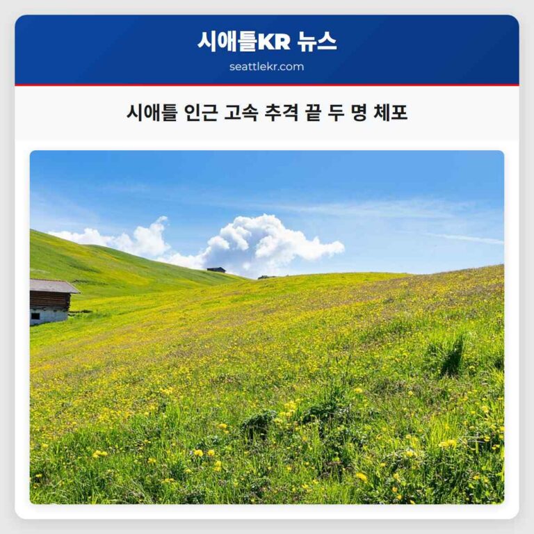 워싱턴주 경찰 시속 130km 추격 끝 페더럴웨이에서 레이크우드까지 두 명 체포