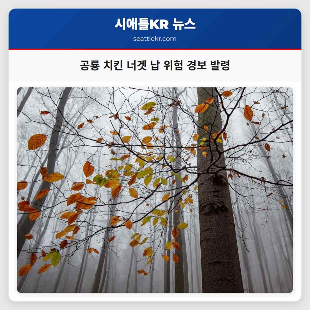 공룡 치킨 너겟 납 위험 경보 발령