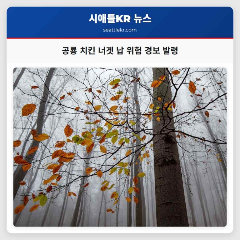 가정 냉동실 주의 공룡 치킨 너겟 납 위험 안전 경보 발령