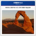 아리조나 강변 익사 사고 모자 되찾다 목숨 잃어