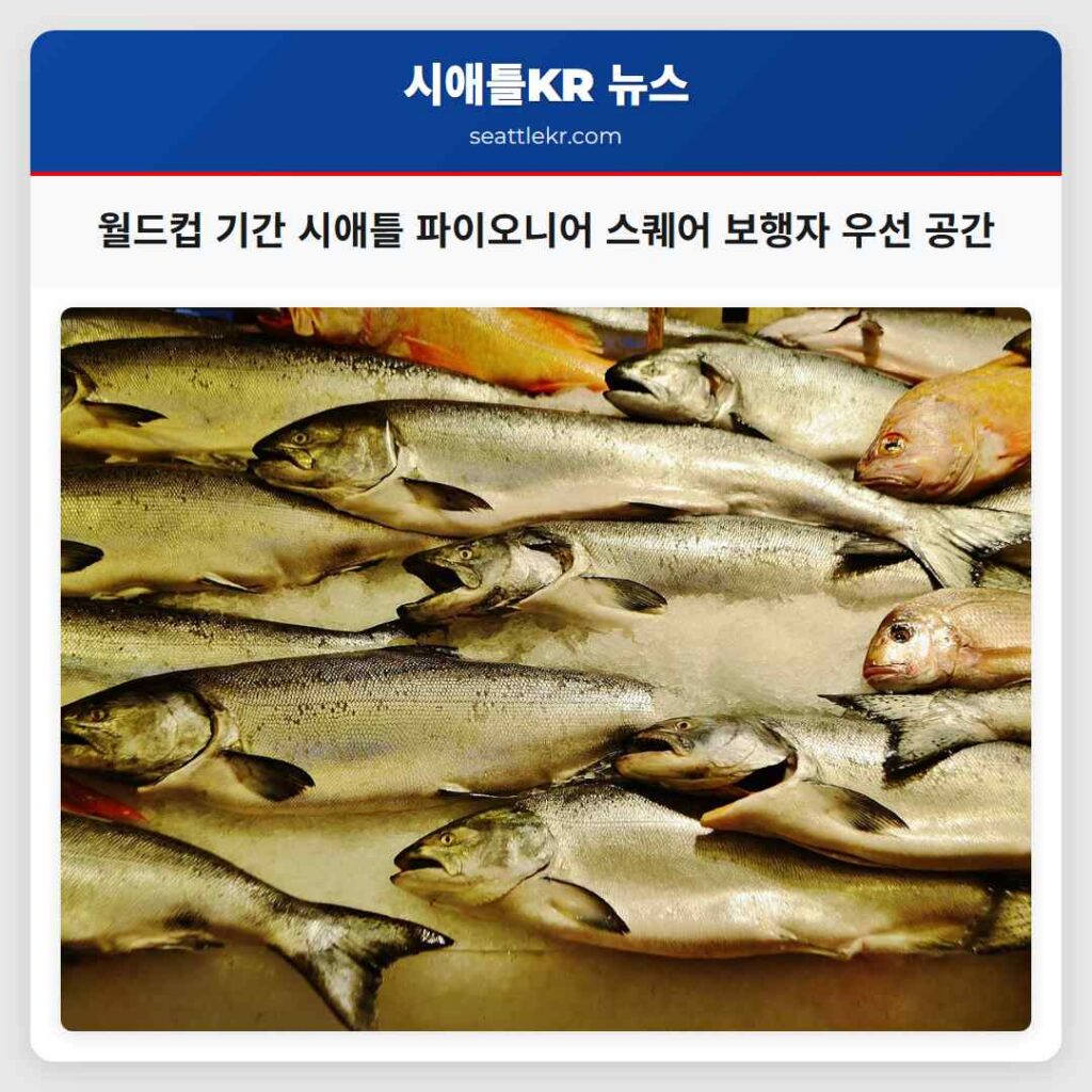 월드컵 기간 시애틀 파이오니어 스퀘어 보행자 우선 공간