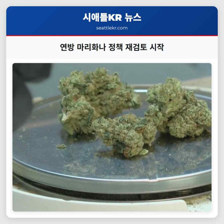 연방 마리화나 정책 재검토 시작