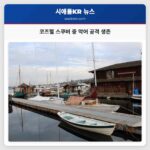 코즈멜 스쿠버 여행 중 72세 에릭 씨 악어 공격 생존 경험 공유