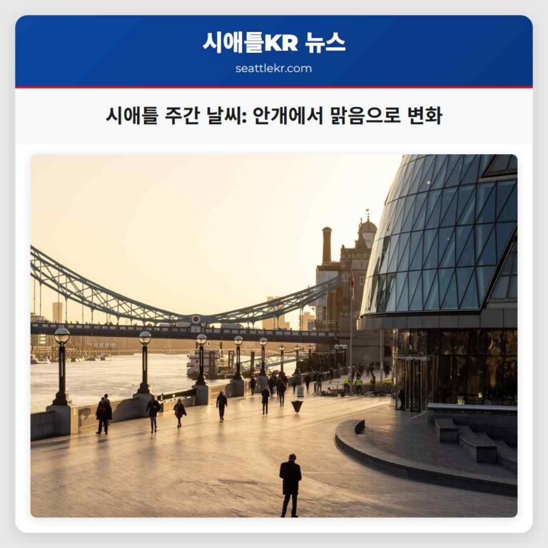 시애틀 주간 날씨 변화 예측 안개에서 맑음까지