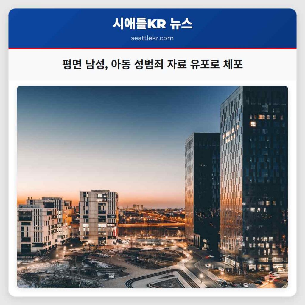 평면 남성, 아동 성범죄 자료 유포로 체포