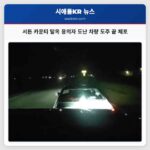 서튼 카운티서 19차례 수감 이력자 도난 차량 이용한 도주 끝에 체포