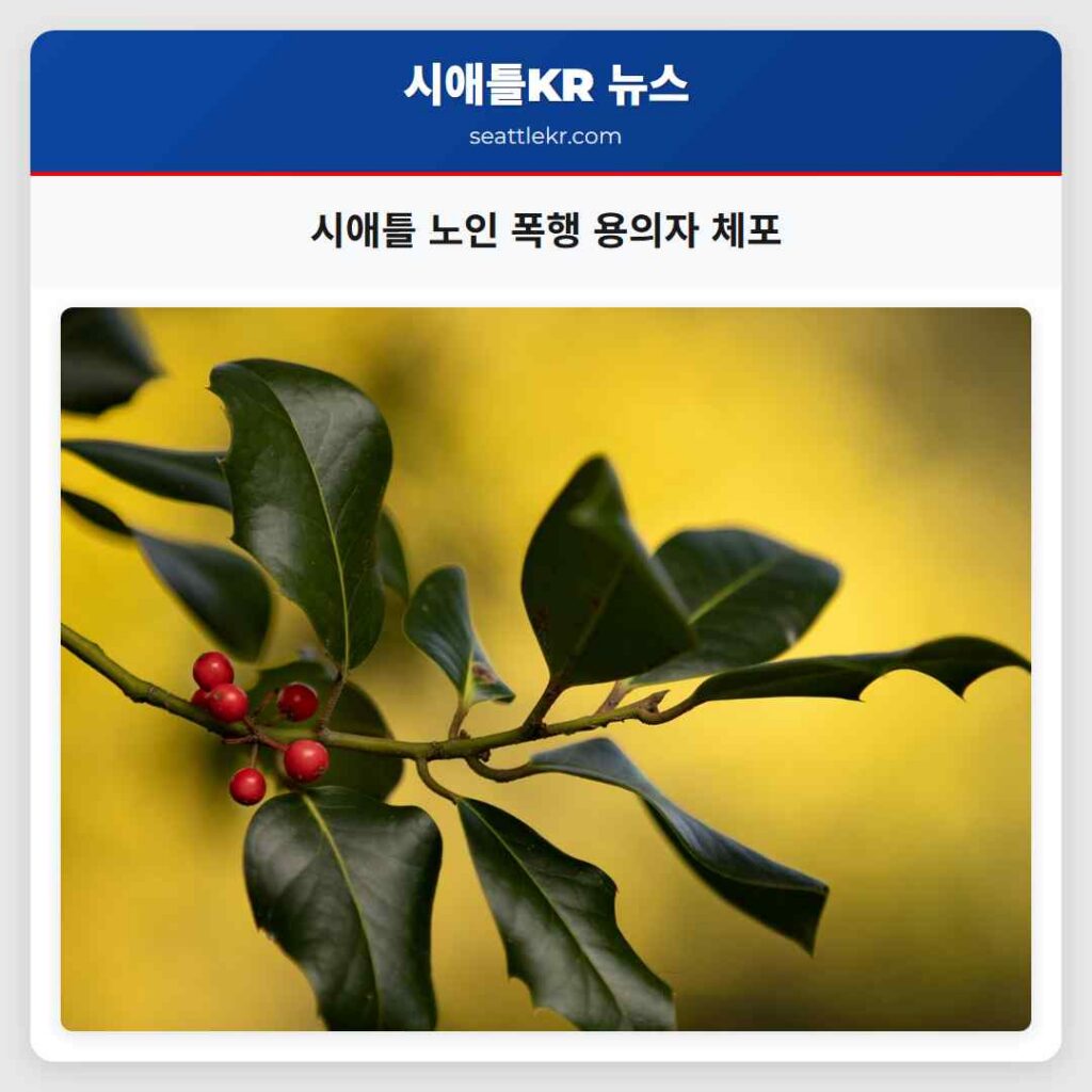 시애틀 노인 폭행 용의자 체포