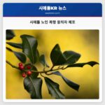시애틀 노인 폭행 용의자 체포