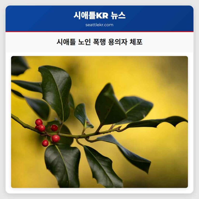시애틀 노인 폭행 용의자 체포