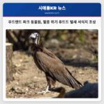 우드랜드 파크 동물원 멸종 위기 후드드 벌새 서식지 조성