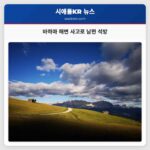 바하마 해변 사고로 남편 석방