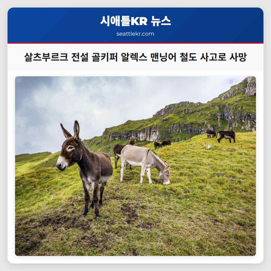 살츠부르크 전설 골키퍼 알렉스 맨닝어 철도 사고로 사망