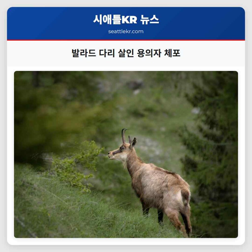 발라드 다리 살인 용의자 체포