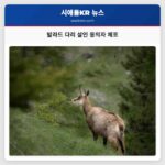 발라드 다리에서 도주 중이던 살인 용의자 체포