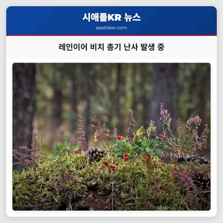 레인이어 비치서 무차별 총기 난사 발생 경찰 조사 진행 중