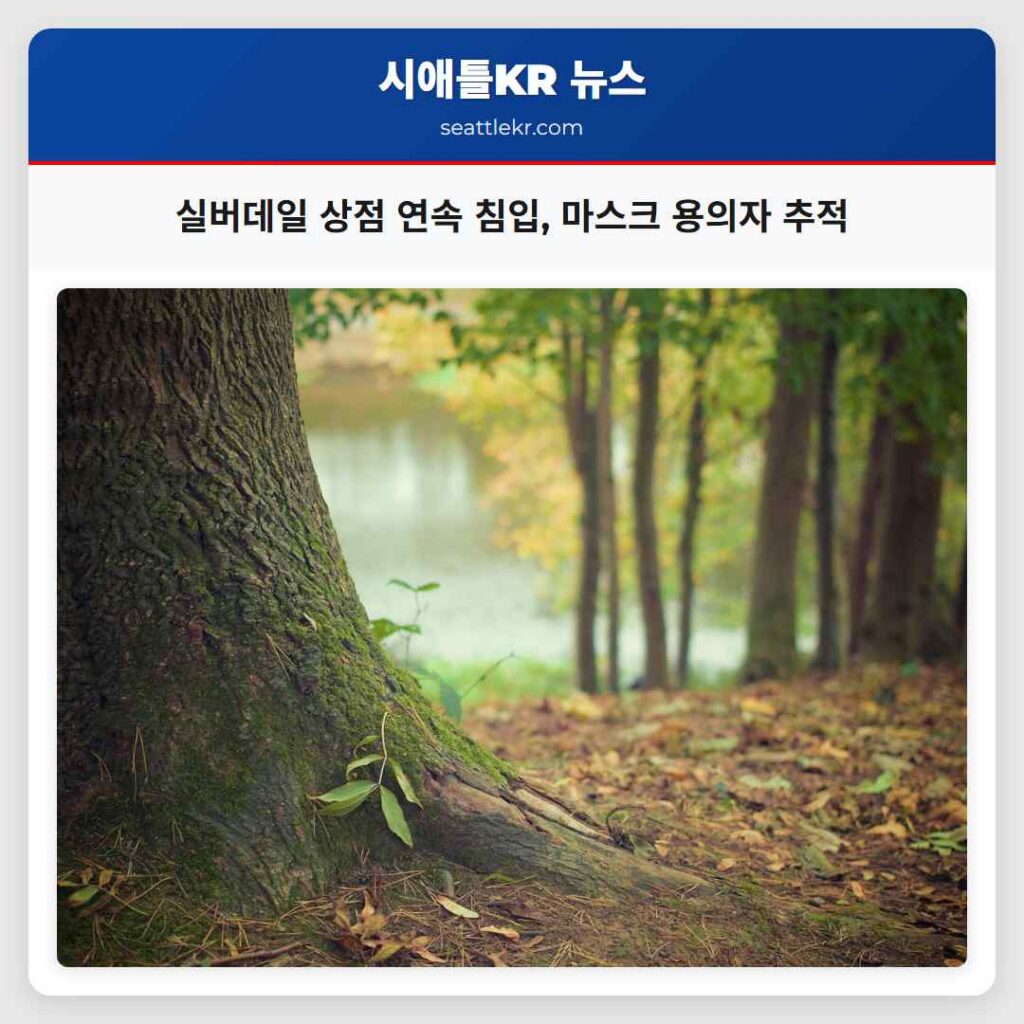 실버데일 상점 연속 침입, 마스크 용의자 추적