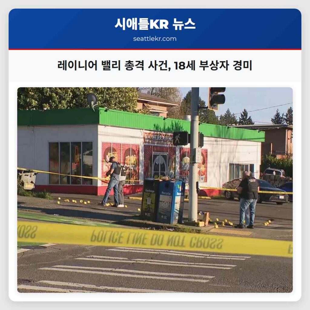 레이니어 밸리 총격 사건, 18세 부상자 경미