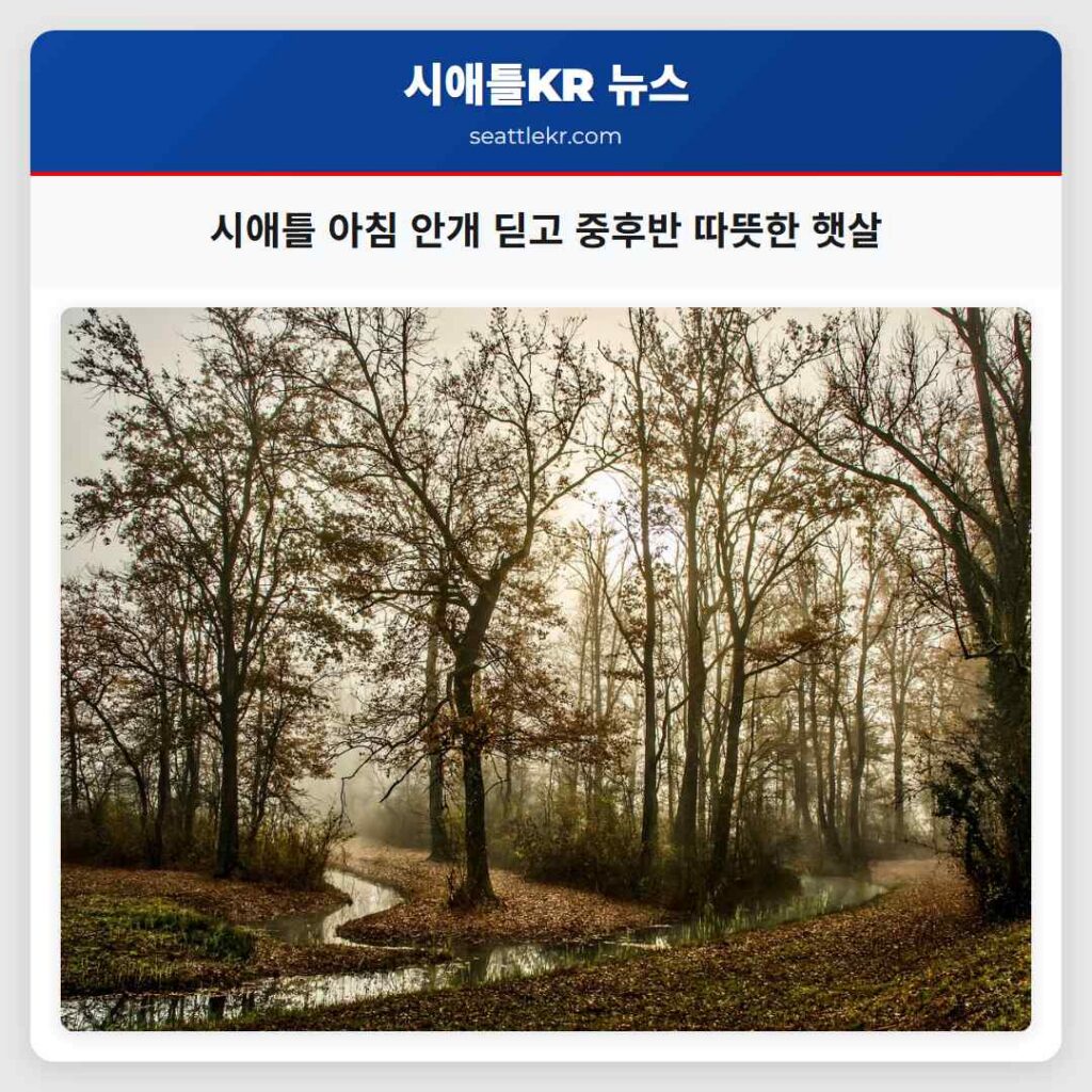 시애틀 아침 안개 딛고 중후반 따뜻한 햇살