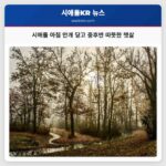 시애틀 아침 안개 딛고 중후반 따뜻한 햇살