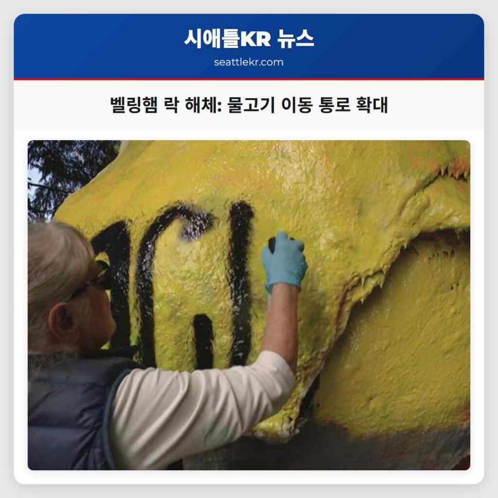 벨링햄 락 해체: 물고기 이동 통로 확대
