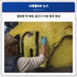 벨링햄 락 해체 물고기 이동 통로 확대