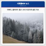 다비드 할리우드 힐스 소녀 시신으로 살인 기소