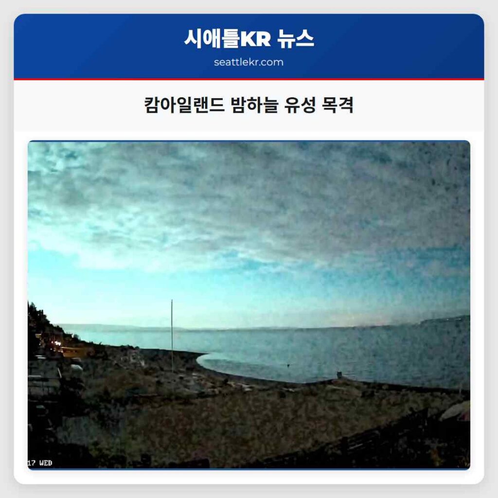 캄아일랜드 밤하늘 유성 목격