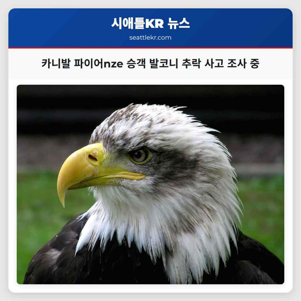 카니발 파이어nze 승객 발코니 추락 사고 조사 중