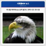 카니발 파이어nze 승객 발코니 추락 사고 조사 중