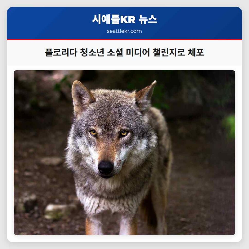 플로리다 청소년 소셜 미디어 챌린지로 체포