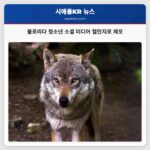 플로리다 청소년 소셜 미디어 챌린지로 체포