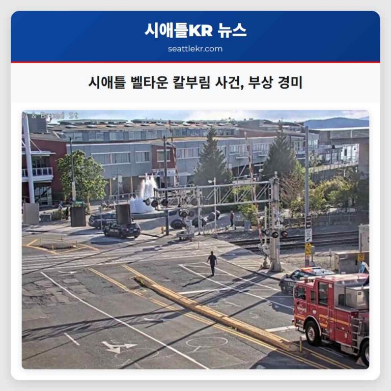 시애틀 벨타운 칼부림 사건 부상 경미