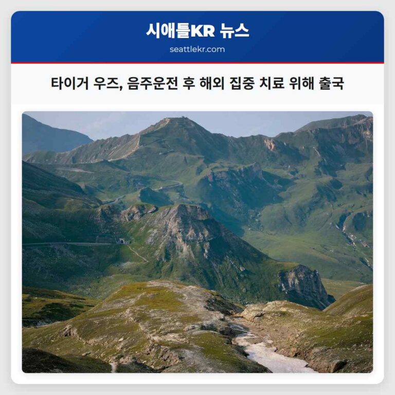 골프 황제 타이거 우즈 해외 집중 치료 위해 출국 승인