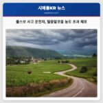 폴스보 계곡 차량 사고 운전자 혈중알코올농도 초과로 체포