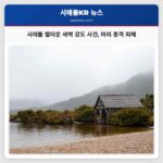 시애틀 벨타운 새벽 강도 사건 발생 머리 총격 피해 충격