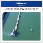 희귀 그레이 고래 스와인오시 채널을 우아하게 통과하다