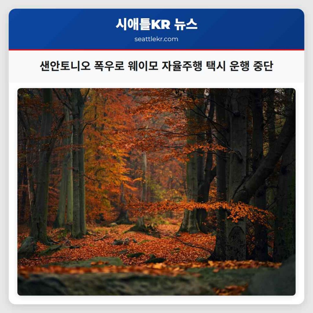 샌안토니오 폭우로 웨이모 자율주행 택시 운행 중단