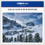 워싱턴 퓨앨럽 자전거 소년 공격 사건… 구조와 회복 과정의 감동적 이야기