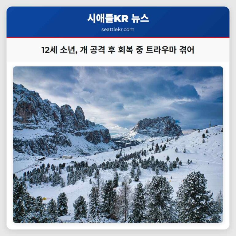 워싱턴 퓨앨럽 자전거 소년 공격 사건… 구조와 회복 과정의 감동적 이야기